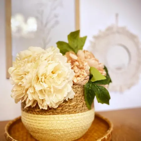 Casa Micca - Cielo Terra Σαν Μπενεντέτο ντελ Τρόντο