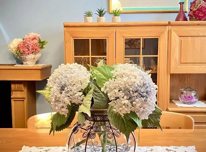 Σπίτι διακοπών Casa Micca - Cielo Terra Σαν Μπενεντέτο ντελ Τρόντο